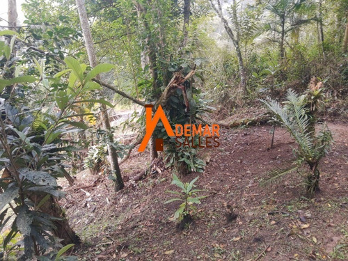 Imagem 17 de 29 de Chácara Em Juquitiba - Ch00111 - 70114757