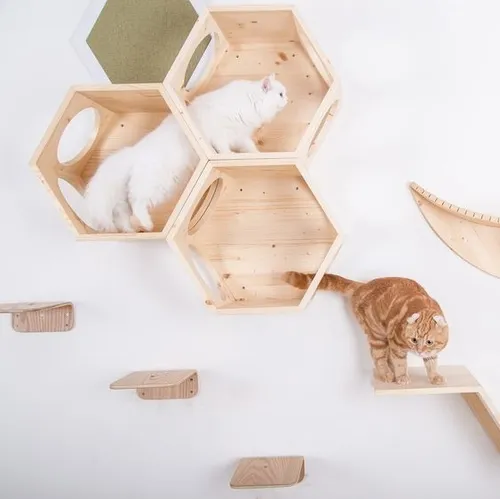 Casas Para Gatos Flotantes