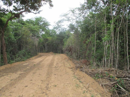 Imagem 12 de 15 de Terreno Para Venda Em Esmeraldas, Floresta Encantada - T23_1-1019445