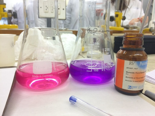 Murexida Pa (acs) X 10 Gr - Salttech