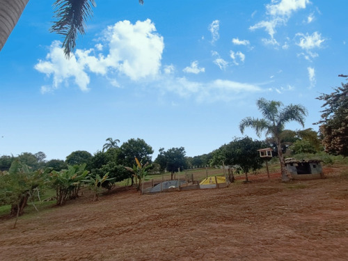 Sítio Completo À Venda Em Santa Isabel/sp 7.500m2 R$950.000