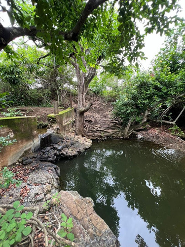 Finca En Tinaquillo, Via Vallecito, Cojedes