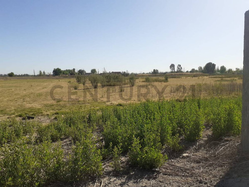 Venta Lote En Corralitos