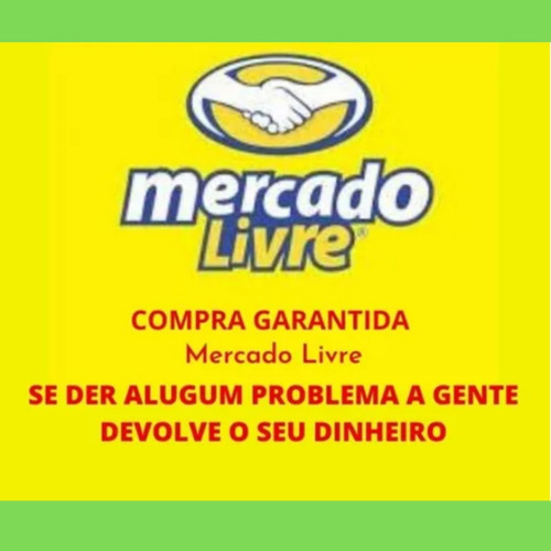 Alho Frito Granulado Marca Arte Em Grão 500g (kit Com 10 Un)