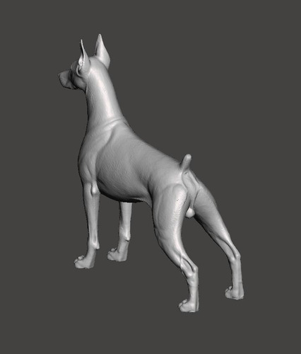 Imagen 3 de 3 de Perro Doberman Pinscher - Escultura