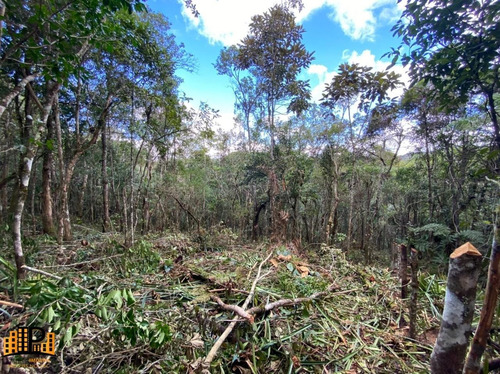 Imagem 14 de 18 de Chácara À Venda 2.749,43m2 Estrada Da Barrinha - São Lourenço/sp - Ch07782 - 69485090