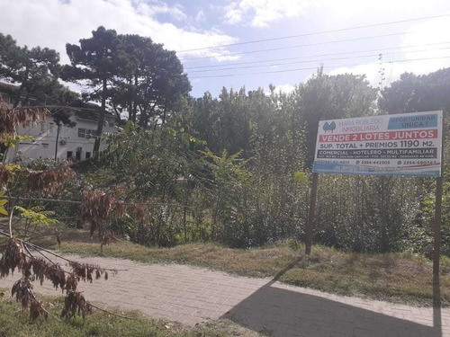 Imagen 1 de 14 de Vendo Lote Av Espora Y Loria