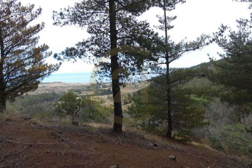 Terreno Tunquén: Naturaleza Y Vista Al Mar
