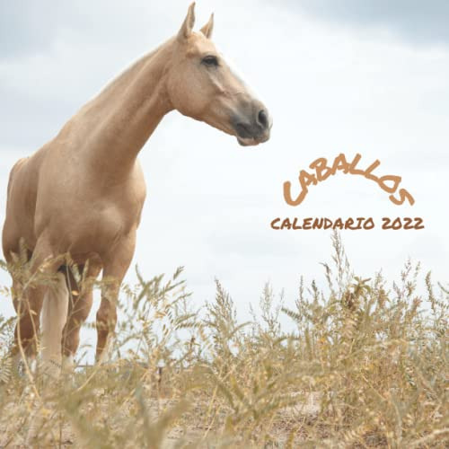 Caballos Calendario 2022: Calendario 2022 8 5''x8 5'' - Rega