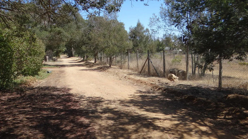 Vendo Parcela En Alcazar De Torres