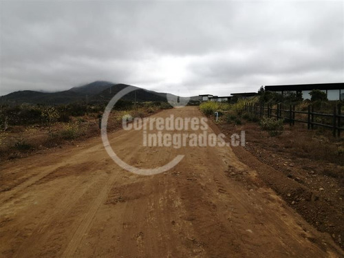 Imagen 5 de 19 de Sitio En Venta En Rocas Del Mar, Los Molles