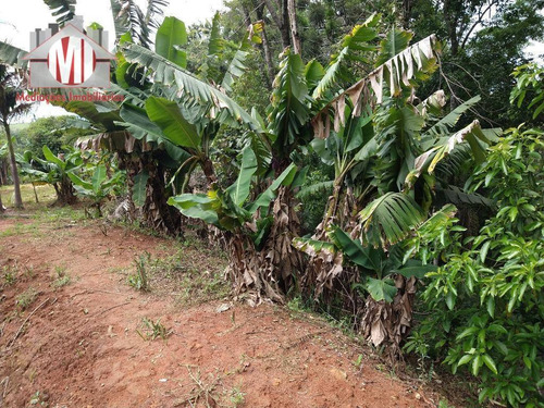 Ótima Chácara Com 3 Dormitórios, Córrego, Pomar, Excelente Localização, À Venda, 3000 M² Por R$ 215.000 - Zona Rural - Pinhalzinho/sp - Ch0848