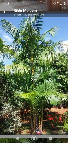 Chácara A Venda Paracatu Mg