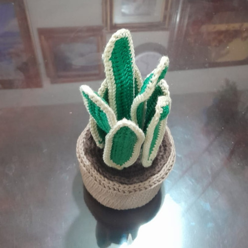 Maceta Tejida A Crochet Sanseveria Lengua Suegra Eterna