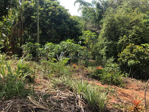 Chácara À Venda Em Chácaras São Martinho - Ch284677