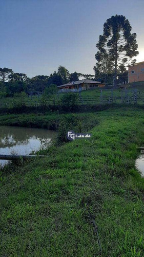 Imagem 7 de 20 de Chácara Com 5 Dormitórios À Venda, 51000 M² Por R$ 1.399.000,00 - Cardoso - Lapa/pr - Ch0045