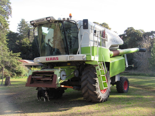 Class Mega 350. Año 2006. Plataforma: 25 Pies. Motor M.b