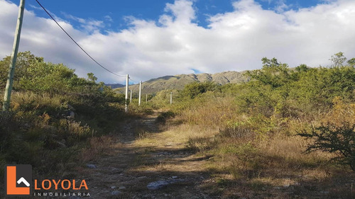 Imagen 26 de 30 de Carpintería, Lotes De 5000 M2
