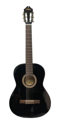 Guitarra Clasica Washburn C6b W-u Garantia / Abregoaudio