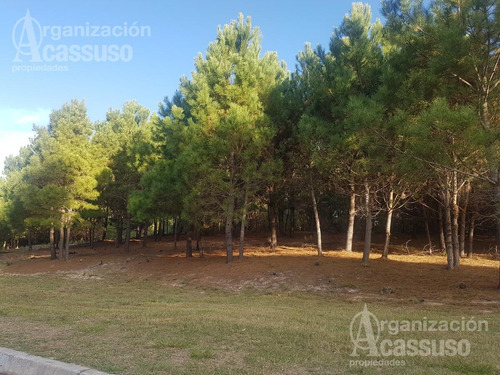 Imagen 13 de 20 de Terreno - Club Del Lago
