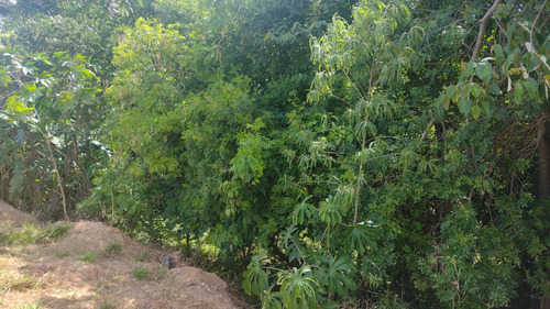 Vendo Chácara Em Salto De Pirapora (quinta Do Netinho)