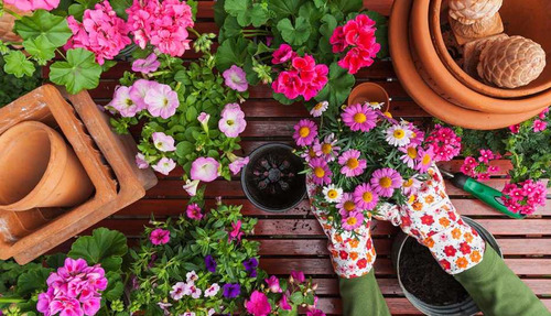 Curso De Paisajismo Y Jardinería - Completo
