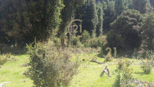 Imagen 2 de 14 de Espectacular Campo En Estero Plateado