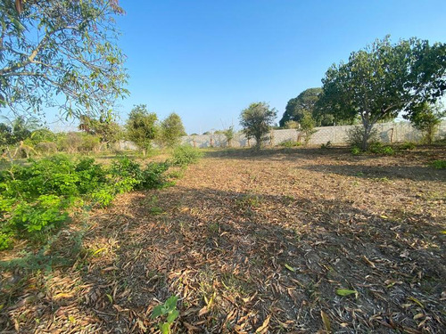 Venta Terreno 3000 M² Juana Moza Frente Al Rio Tuxpan Veracruz