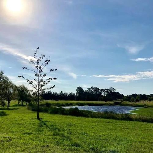 Venta De  Lote En Las Calandrias. Los Cardales.