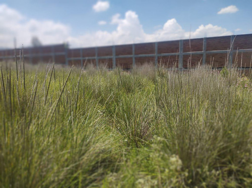 Venta De Terreno Ejidal En Cacalomacan Toluca