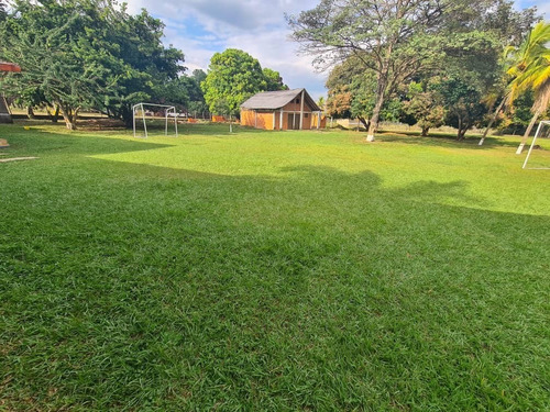 Imagen 4 de 13 de En Venta Finca, En Sabana Del Medio, Barrera