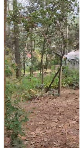 Amplio Terreno Para Cabañas En Los Alcanfores Sclc