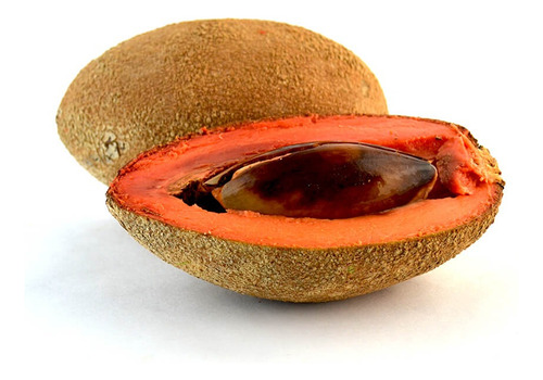Arbol De Mamey Injerto, Pregunte Costo De Envio