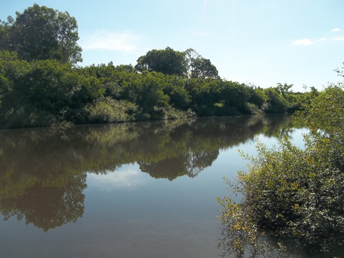 550 Has Sobre Ruta 8 - Minas