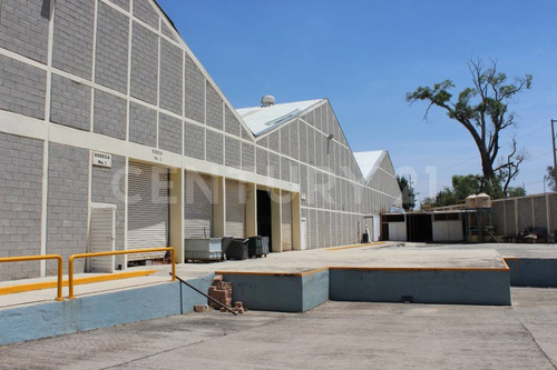 Bodegas En Venta 50,000 M2, Complejo Cerca Autopista Mex-pue, Tlaxcala