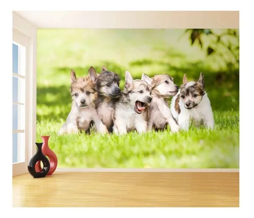 comprar Adesivo De Parede Animais Filhotes Pet Shop 3d 7m² Anm171