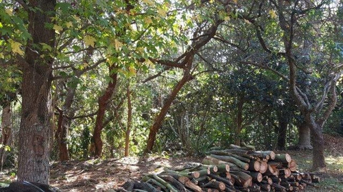 Imagem 10 de 20 de Terreno À Venda, 2845 M² Por R$ 1.600.000,00 - Jardim Mediterrâneo - Cotia/sp - Te7989