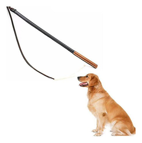 Látigo De Entrenamiento Profesional Para Perros De Tamaño