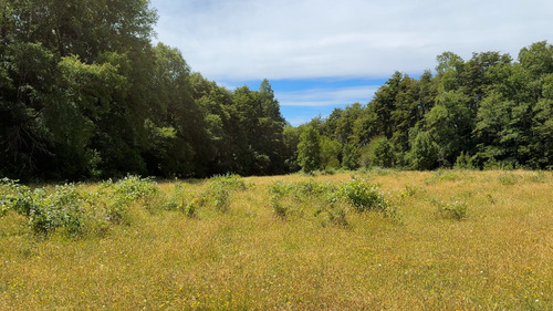 Campo En Venta En Cañitas, Los Muermos, Región De Los Lagos