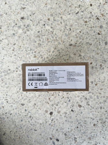 Rabbit R1