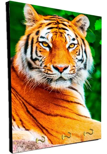 Porta Llaves De Pared Tigres Varios Modelos 15x20cm (22)
