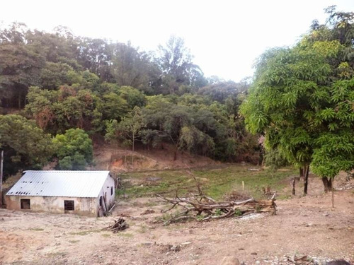 Imagem 7 de 11 de Terreno / Area - Planalto - Ref: 4024 - V-sld4024