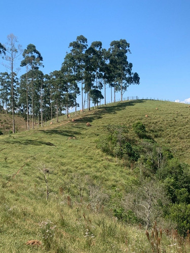 Imagem 6 de 7 de K22-rurais A Venda Próximo A Guarulhos