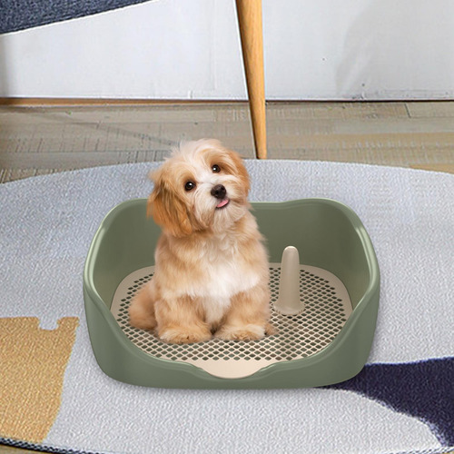 Inodoro Para Perros, Soporte Para Almohadillas De