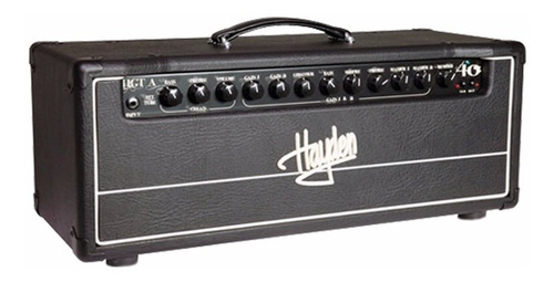 Cabezal Valvular Para Guitarra Hayden Hgt-a40h