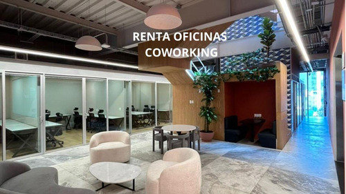 Renta De Oficinas En Coworking Moliere