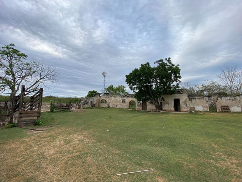 Rancho Ganadero En Tizimín, Yucatán