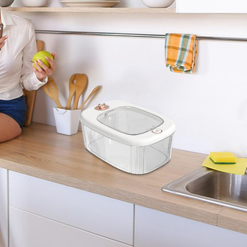 Dispensador De Caja De Arroz Transparente Gran Capacidad S