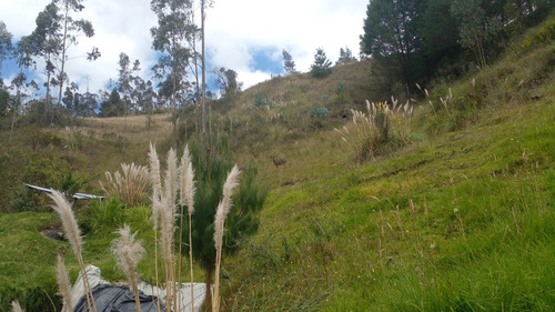 For Sale Peaceful Property & Home In The High Mountains Of Cuenca