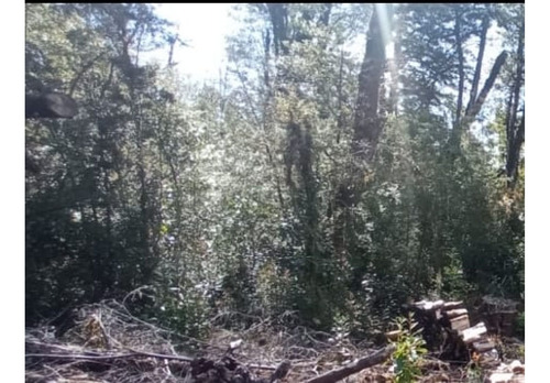 Lindo Terreno En Chiloe